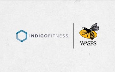 WASPS ANNOUNCE THREE-YEAR PARTNERSHIP WITH INDIGOFITNESS