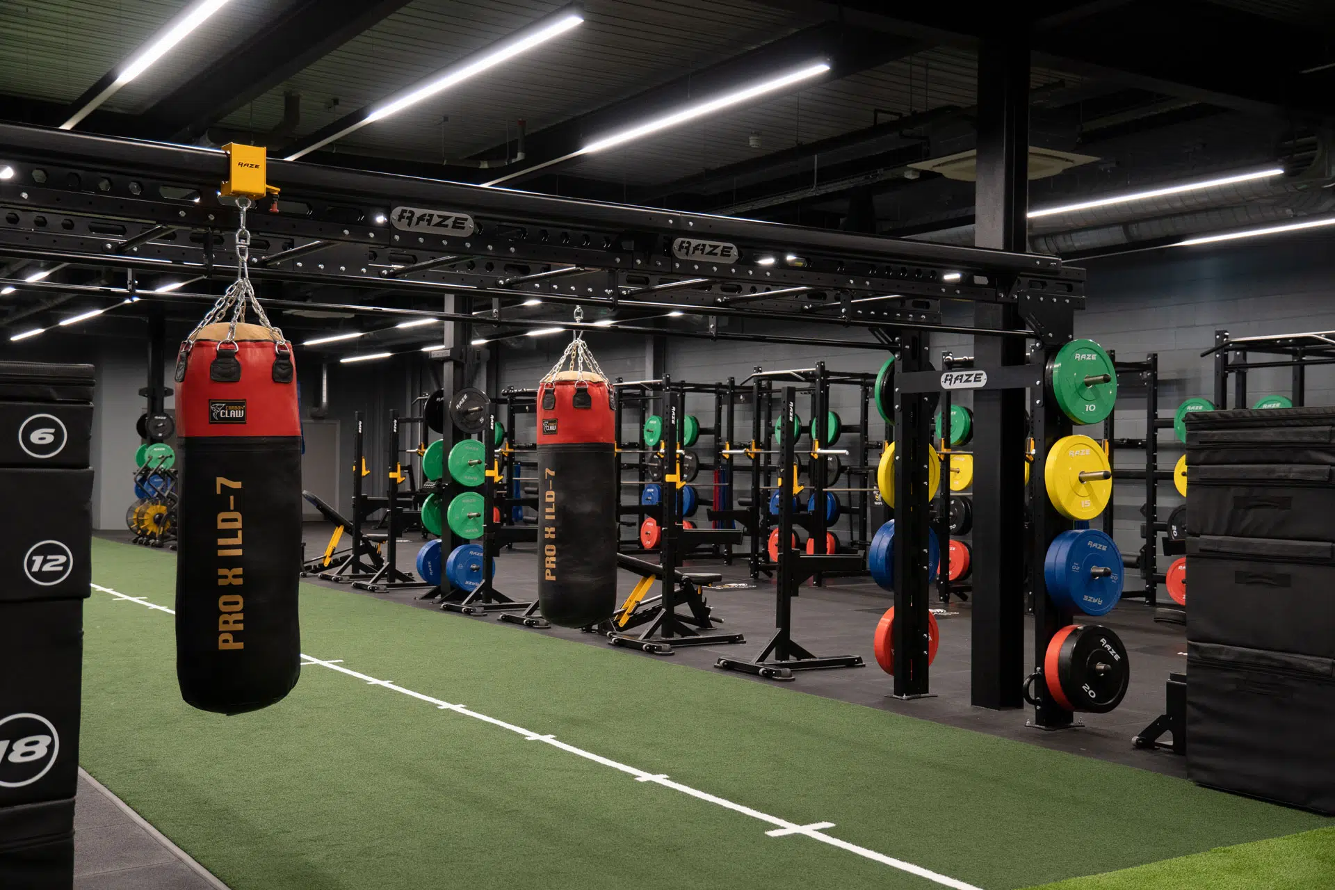 wasps rfc gym design indigofitness raze equipment carbon claw