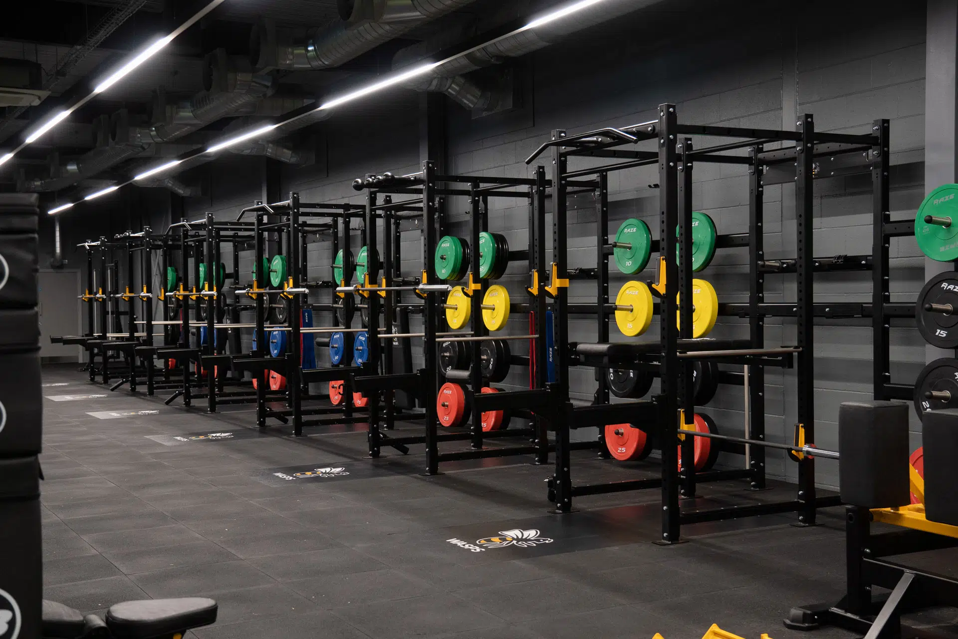 wasps rfc gym design install indigofitness 4