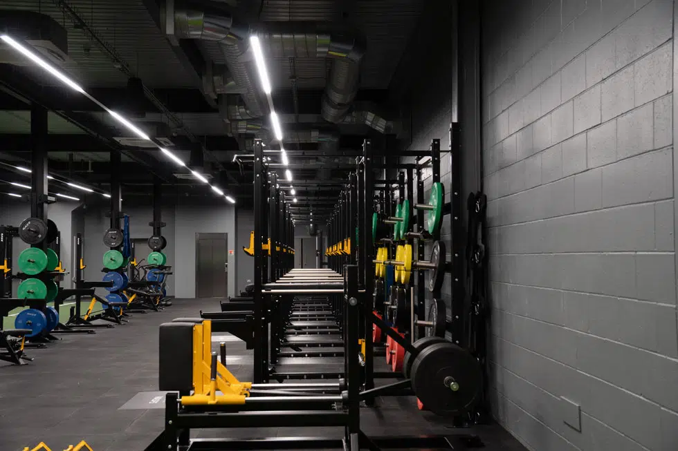 wasps rfc gym design install indigofitness 5